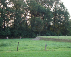 foto bij artikel