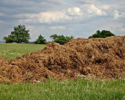 foto bij artikel