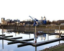 foto bij artikel